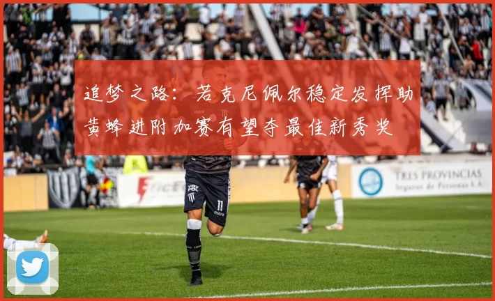 追梦之路：若克尼佩尔稳定发挥助黄蜂进附加赛有望夺最佳新秀奖